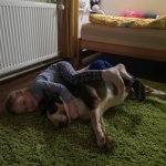 phoca_thumb_m_e.g.  2 Fotogalerie
